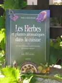 Herbs and aromatic plants for cooking