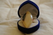 Zebu horn ring