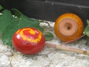 Salt and peper pot